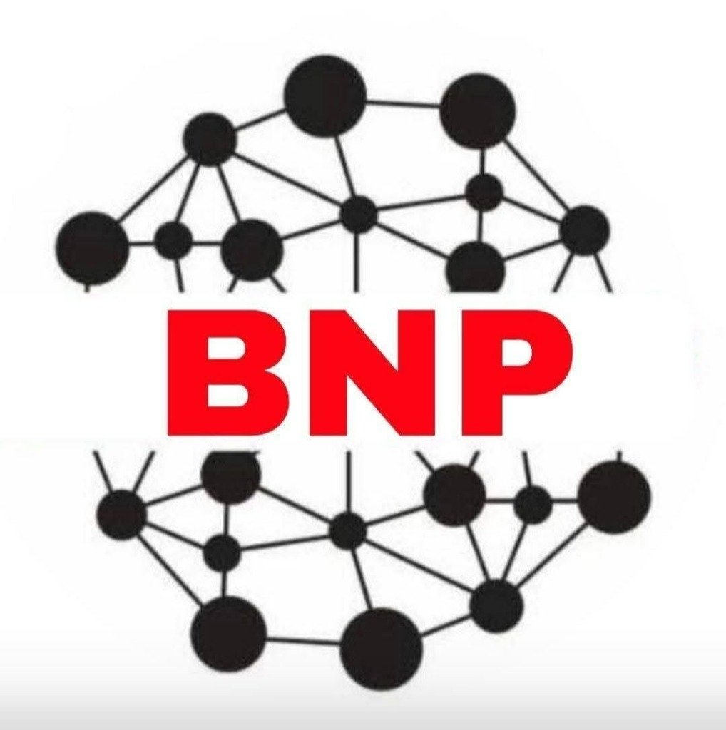 Official BNP Logo